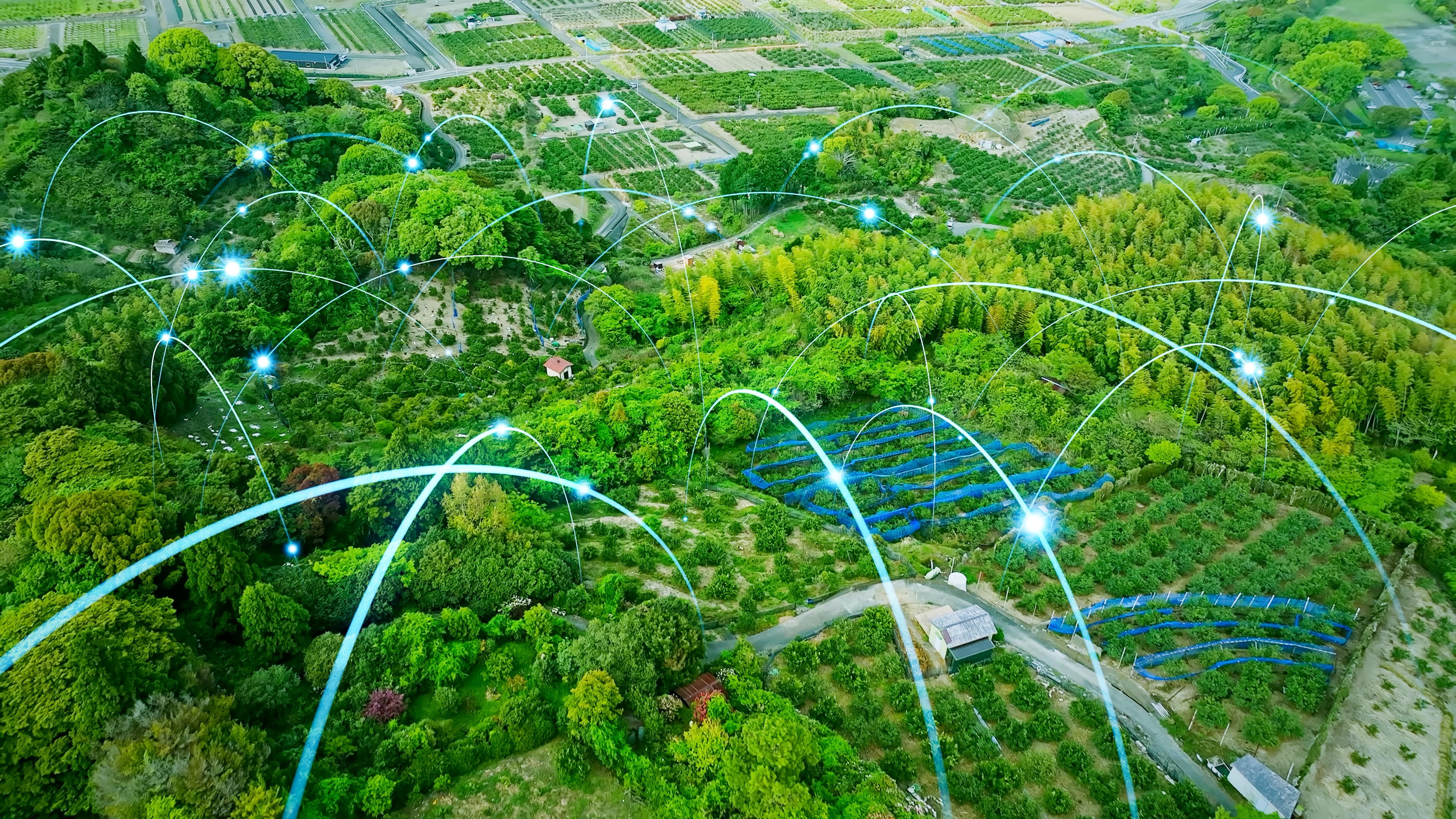Bund/Länder-Arbeitsgemeinschaft Umwelt und Digitalisierung (BLAG UDig)